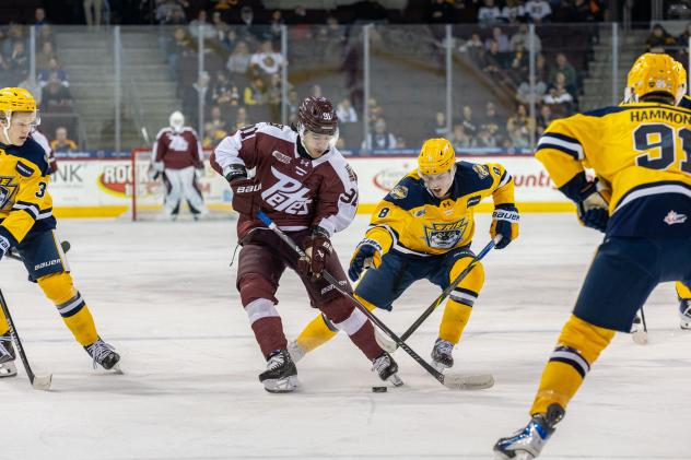 Peterborough Petes left wing Gerry DiCunzolo