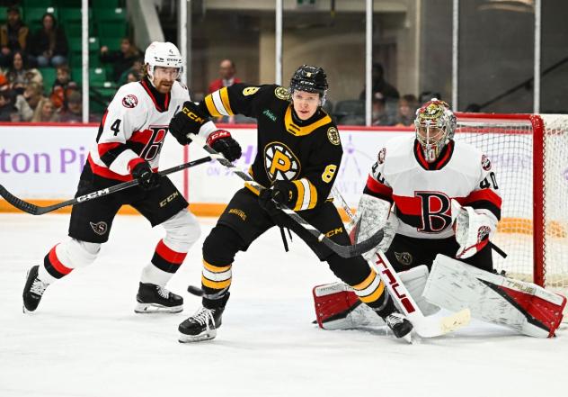 Belleville Senators goaltender Hunter Shepard vs. the Providence Bruins