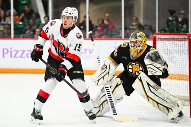 Belleville Senators right wing Olle Lycksell vs. the Providence Bruins