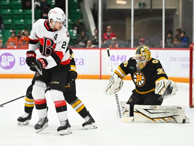 Belleville Senators centre Jan Jeník vs. the Providence Bruins