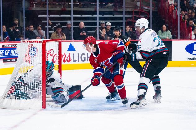 Spokane Chiefs' Cohen Harris battles Kelowna Rockets' Harrison Boettiger and Rowan Guest