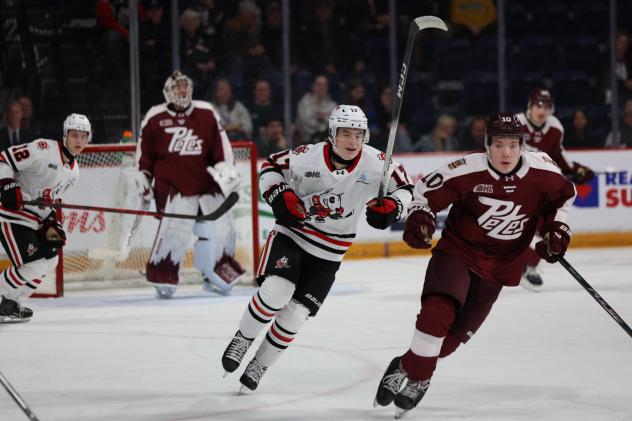 Peterborough Petes centre Adam Levac (right) vs. the Niagara IceDogs