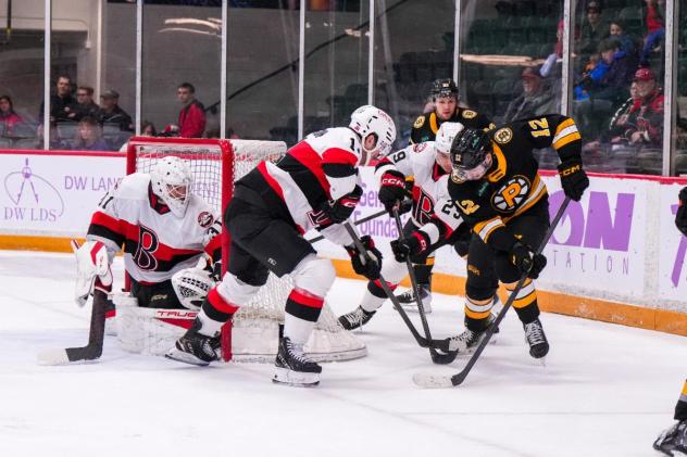 Belleville Senators goaltender Jackson Parsons vs. the Providence Bruins