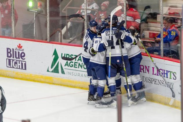 Worcester Railers celebrate a goal