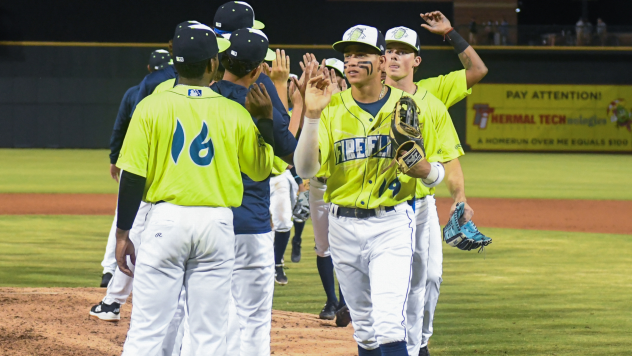 Columbia Fireflies exchange congratulations