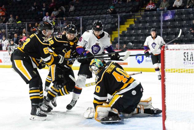 Wheeling Nailers goaltender Maxim Pavlenko smothers a shot