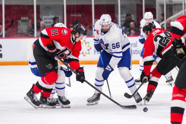 Belleville Senators defenceman Jorian Donovan (left) vs. the Toronto Marlies