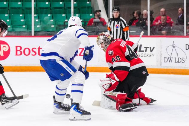 Belleville Senators goaltender Mads Søgaard vs. the Toronto Marlies