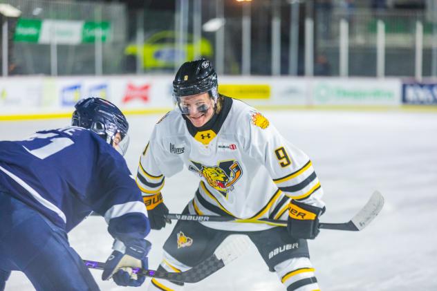 Victoriaville Tigres centre Egor Shilov