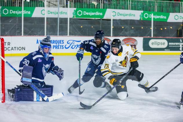 Victoriaville Tigres defenceman Simon-Pier Brunet vs. the Sherbrooke Phoenix