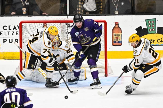 Wheeling Nailers set up defensively against the Greensboro Gargoyles