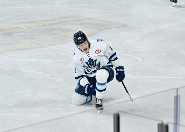Penticton Vees' Jiří Kamas