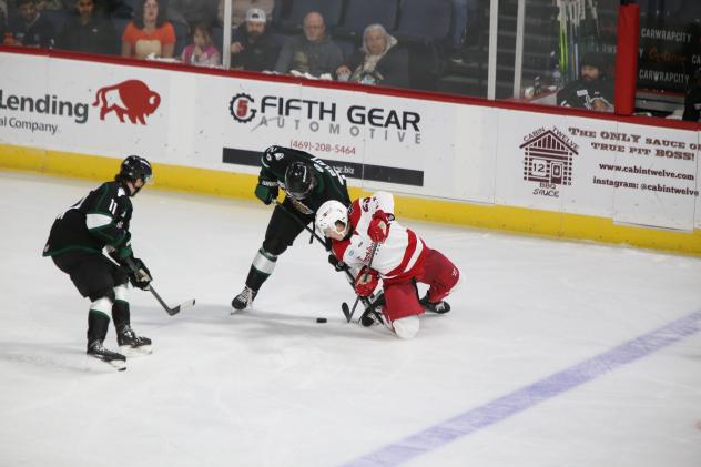 Allen Americans defenseman Sam Sedley (right) battles the Utah Grizzlies