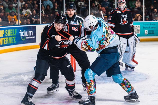 Adirondack Thunder get into a scrap with the Maine Mariners