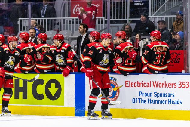 Grand Rapids Griffins left wing Eduards Tralmaks