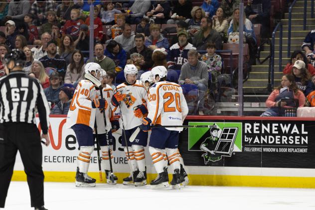 Greenville Swamp Rabbits gather after a goal