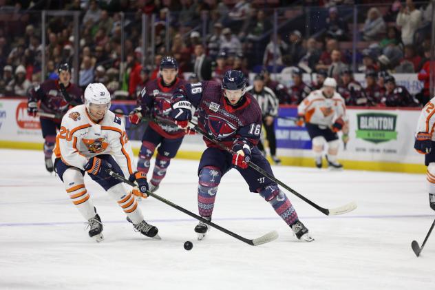 Greenville Swamp Rabbits forward Ryan O'Hara (left) vs. the South Carolina Stingrays