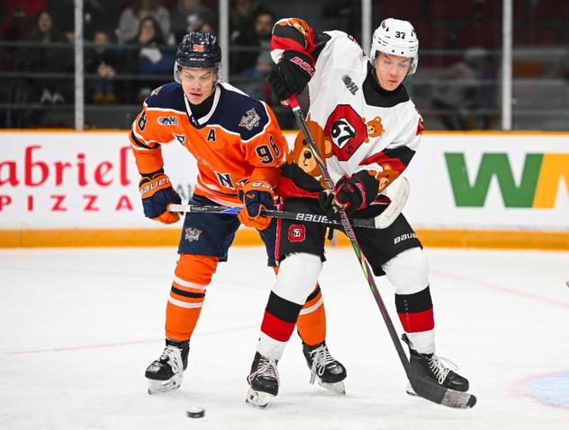 Flint Firebirds defenseman Urban Podrekar (left) vs. the Ottawa 67's