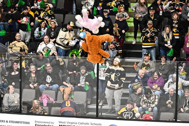 Wheeling Nailers Teddy Bear Toss