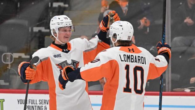 Flint Firebirds exchange congratulations following a goal