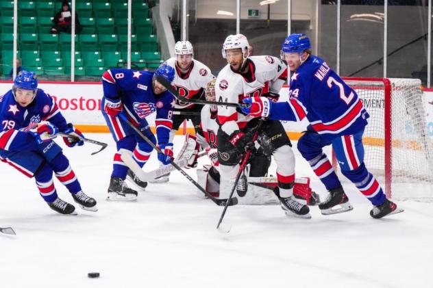 Belleville Senators battle the Rochester Americans