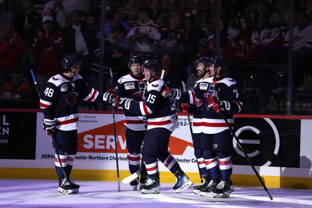 South Carolina Stingrays congratulate Josh Wilkins (15) following a goal