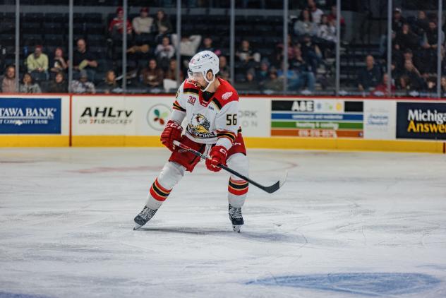 Grand Rapids Griffins defenseman Erik Gustafsson