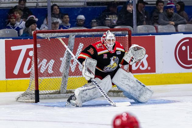 Grand Rapids Griffins goaltender Dustin Tokarski