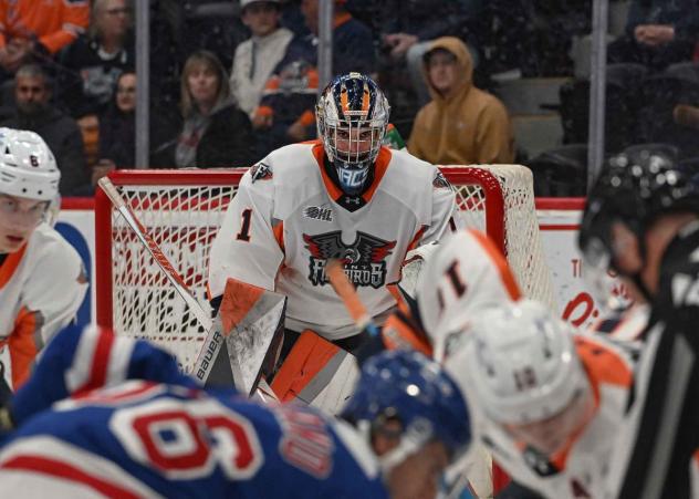 Flint Firebirds goaltender Mason Vaccari keeps an eye on the action