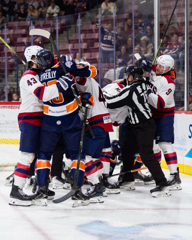 Greenville Swamp Rabbits battle the South Carolina Stingrays