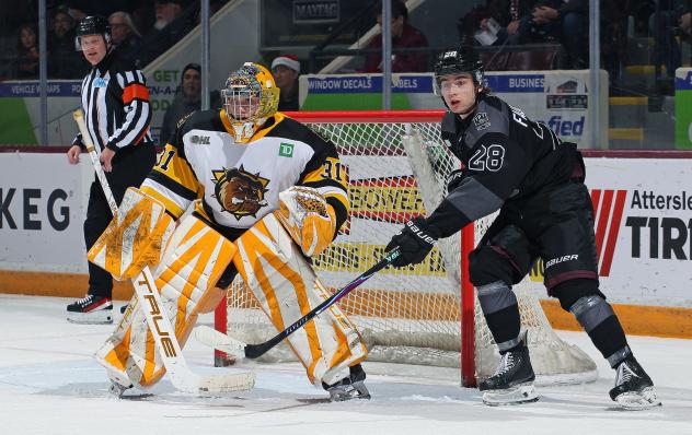 Brantford Bulldogs' Ryerson Leenders and Peterborough Petes' Brennan Faulkner