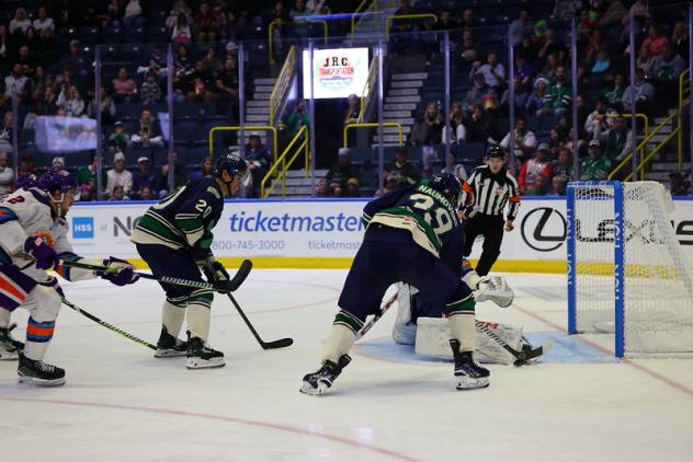 Florida Everblades Battle The Orlando Solar Bears