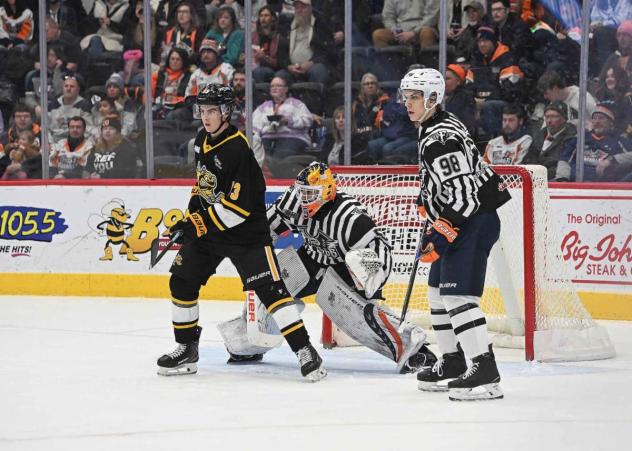 Flint Firebirds on game night