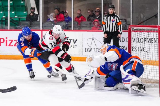 Belleville Senators forward Oskar Pettersson fires a shot against the Bridgeport Islanders