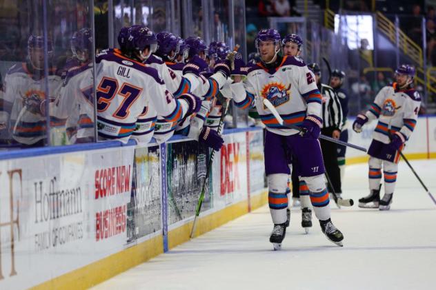 Orlando Solar Bears exchange congratulations along the bench