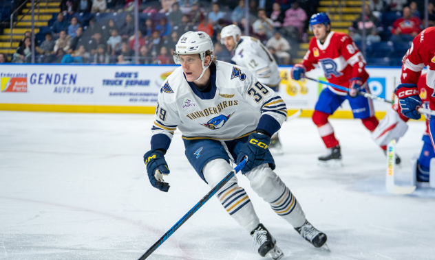 Springfield Thunderbirds forward Matt Luff
