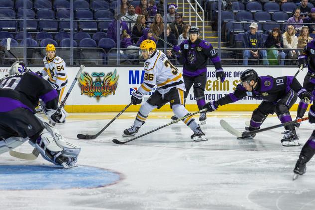 Wheeling Nailers forward Max Graham vs. the Greensboro Gargoyles