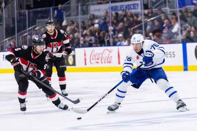 Belleville Senators vs. the Toronto Marlies