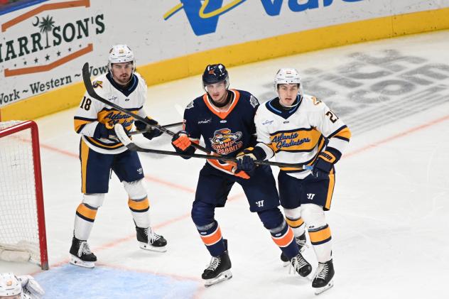 Greenville Swamp Rabbits vs. the Norfolk Admirals