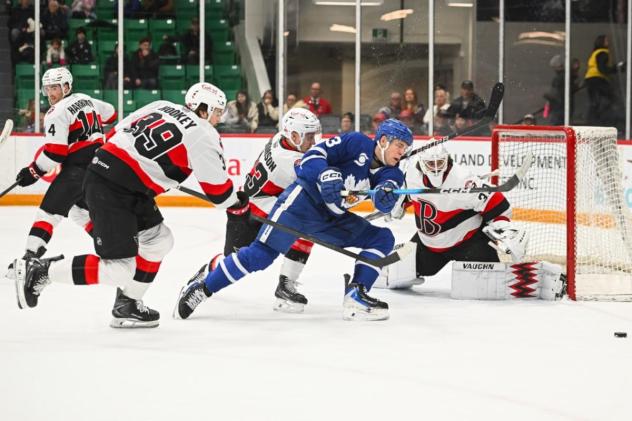 Belleville Senators goaltender Hunter Shepard vs. the Toronto Marlies
