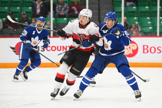 Belleville Senators right wing Xavier Bourgault vs. the Toronto Marlies