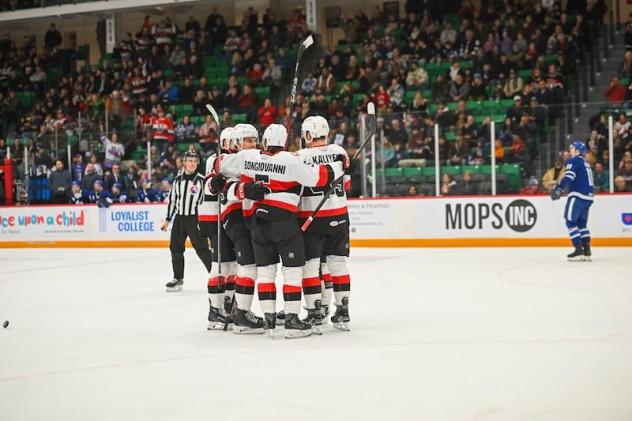 Belleville Senators celebration