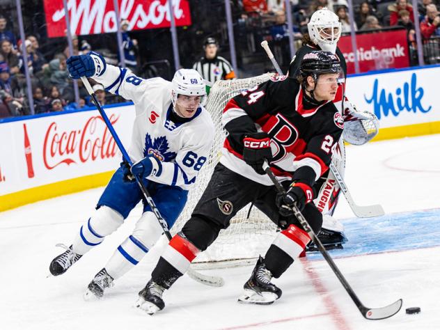 Belleville Senators centre Jan Jeník