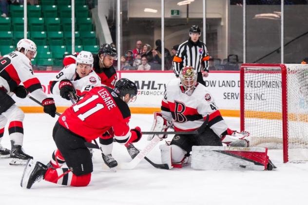 Belleville Senators goaltender Mads Søgaard makes a stop