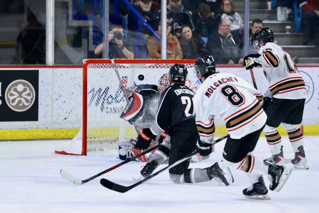 Vancouver Giants goaltender Kelton Pyne vs. the Calgary Hitmen