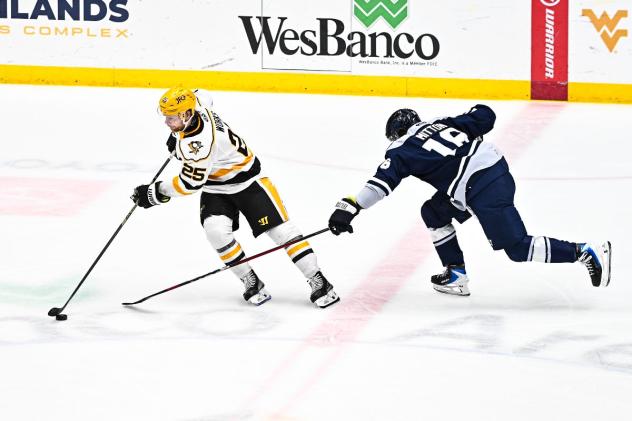 Wheeling Nailers forward Jack Works with the puck against the Worcester Railers