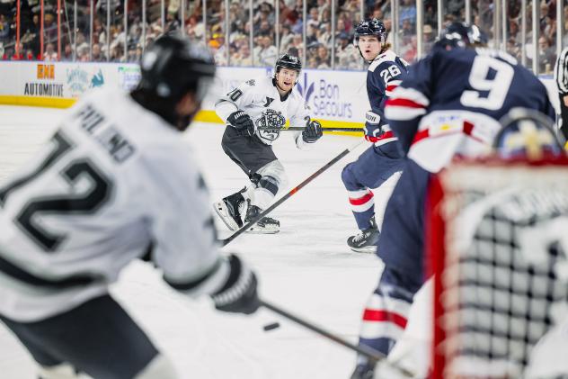 Greenville Swamp Rabbits battle the South Carolina Stingrays