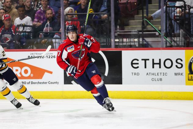 Forward Tanner Edwards with the South Carolina Stingrays