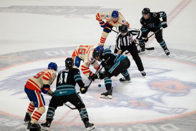 San Jose Barracuda versus the Bakersfield Condors