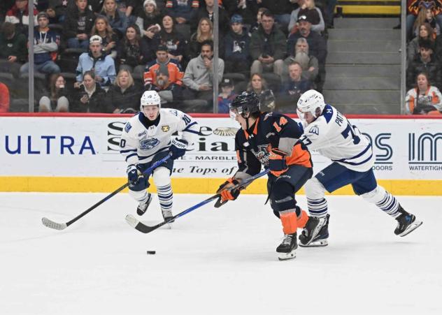 Flint Firebirds' Luka Graziano versus Brampton Steelheads' Keaton Ardagh and Troy Patton